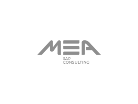 MSA GmbH